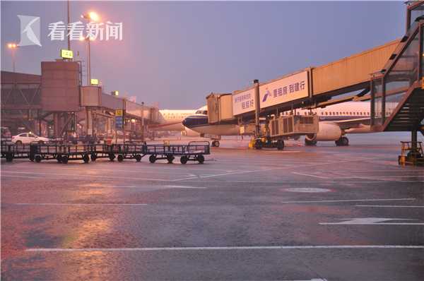 A pet store started offering pet training classes for dogs and cats