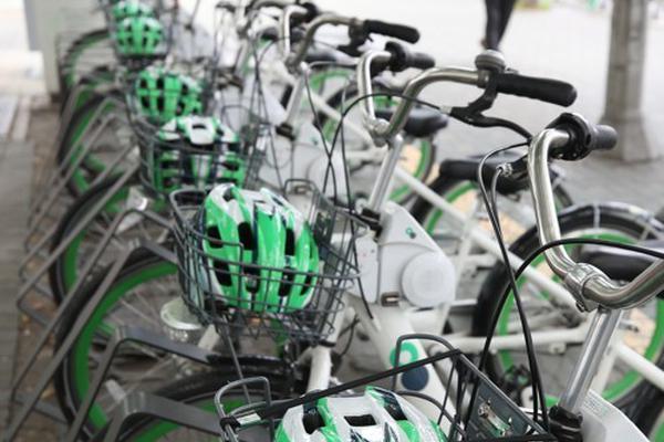 A grocery store started selling plant-based meat alternatives in its frozen food section