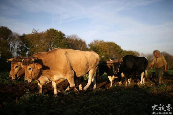 A farmers market started accepting mobile payments to make transactions easier for vendors