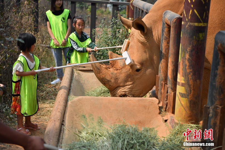 A farmers market started a program to teach kids about farming