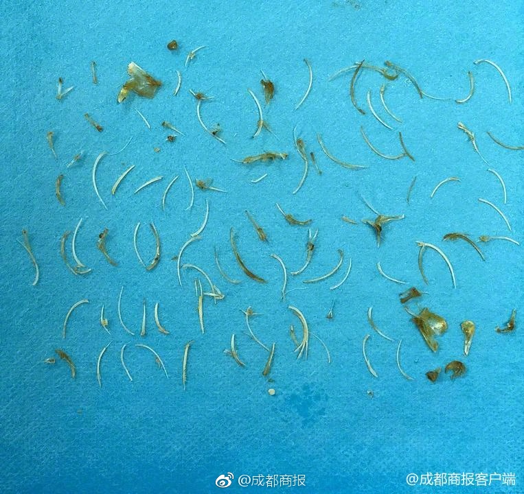 A new species of plant was discovered in a tropical rainforest