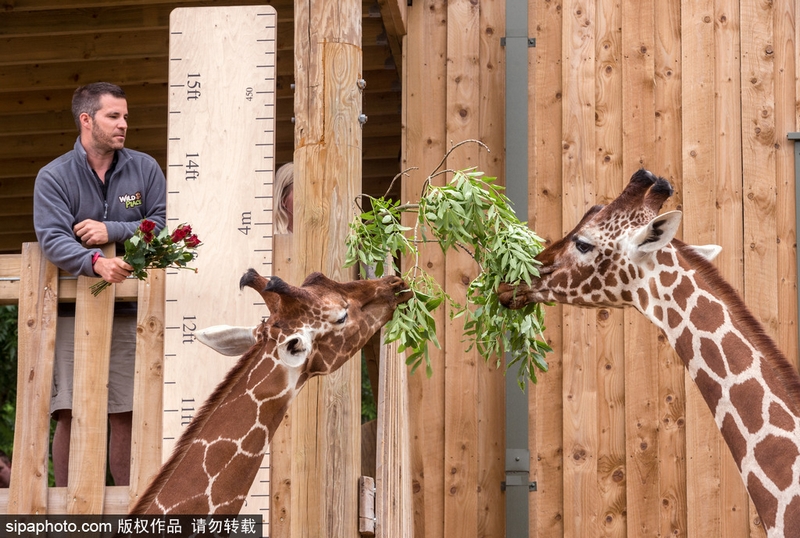 Weather experts reported that this year’s winter will be milder than usual