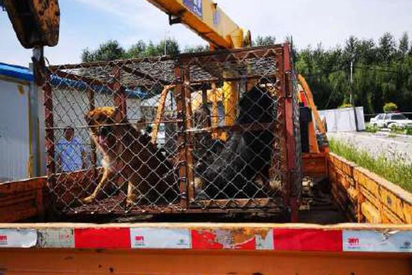 A new TV show based on a popular video game became one of the most-watched series of the year