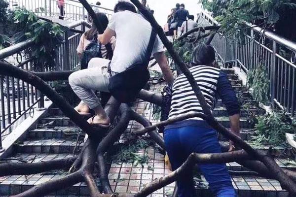 Police arrested five suspects in connection with a series of bank robberies in the region