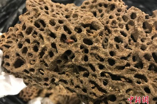 Local police hosted a safety fair to teach residents about home security