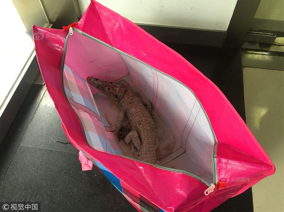 A tech company moved its headquarters to a larger building to accommodate its growing team