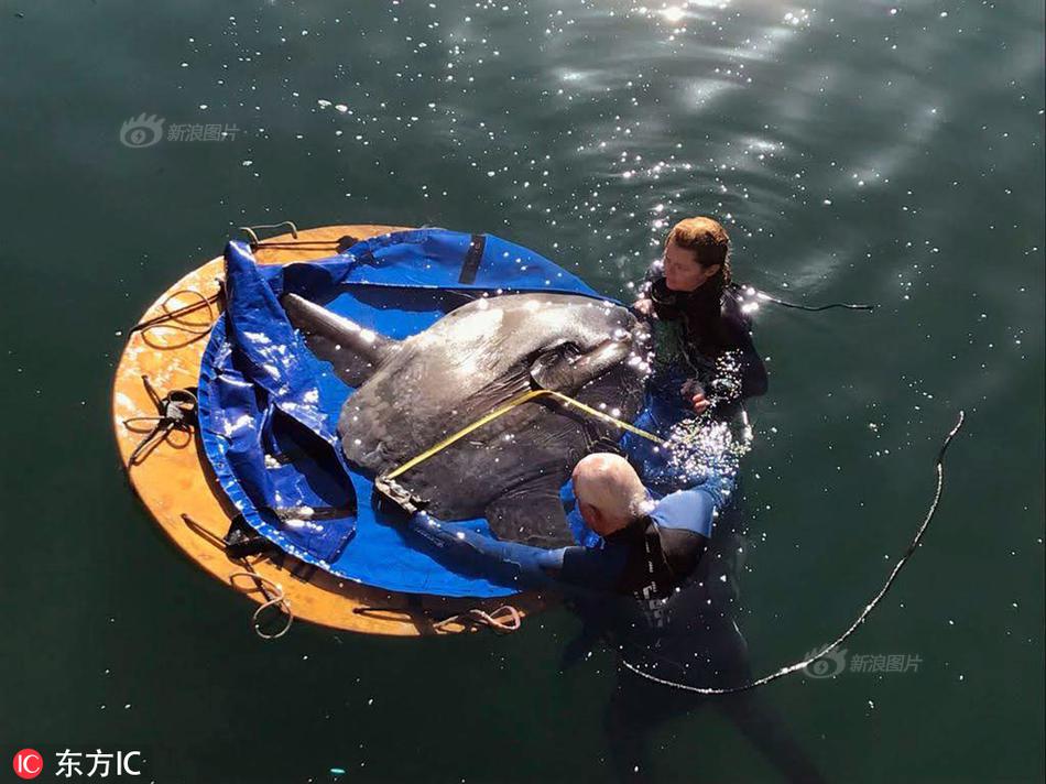 Public library partners with local bookstore to host monthly author events