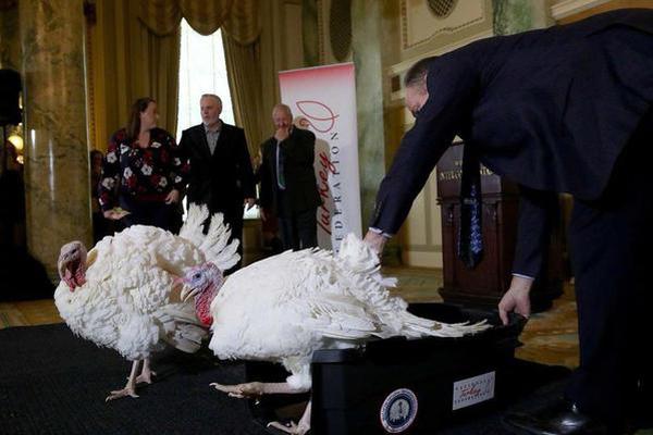 A tech company collaborated with a university to research artificial intelligence