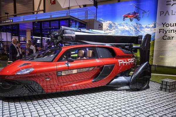 A bakery introduced gluten-free and vegan versions of its popular cinnamon rolls