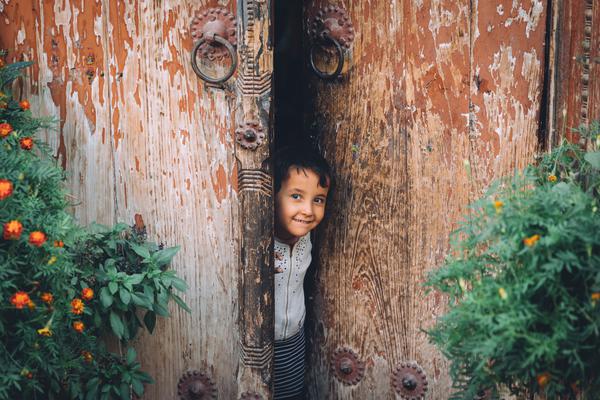 A popular coffee chain introduced a new seasonal drink made with local ingredients
