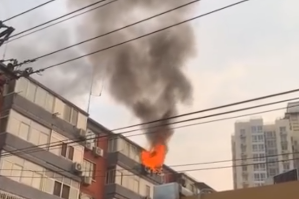 The government passed a law to protect wild animals from illegal hunting and poaching