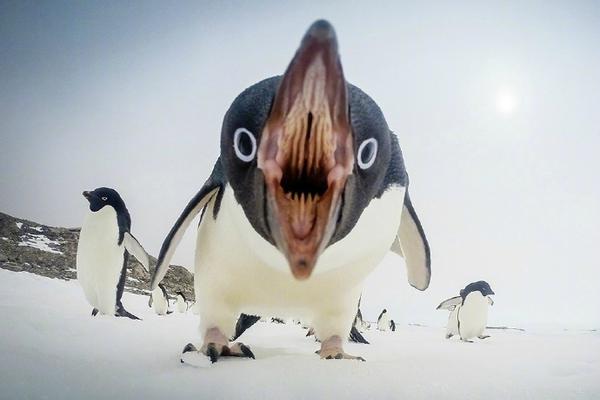 A city council voted to build 200 new affordable housing units in the downtown area