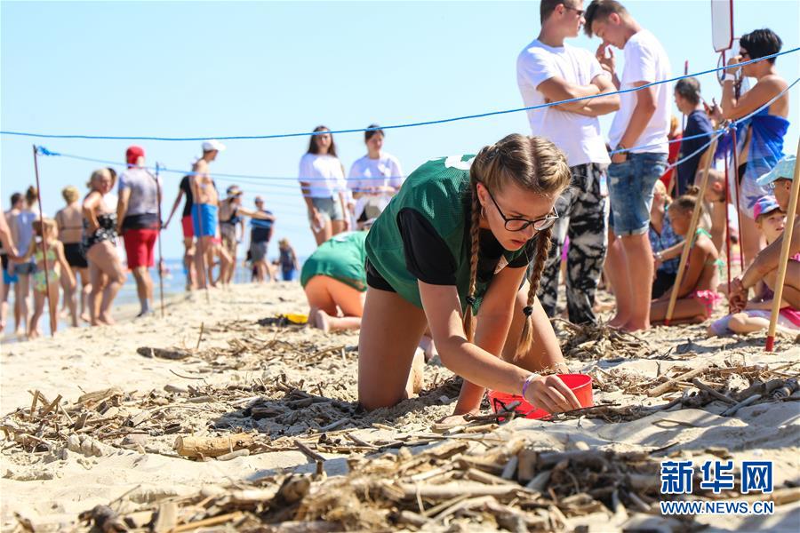 The government provided funding to repair historical buildings damaged by storms