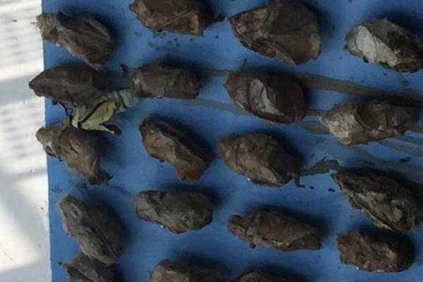 A tech company announced it will open a new headquarters creating 2000 new jobs