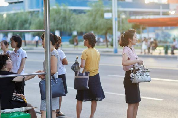 The city council voted to ban smoking in all public parks and recreational areas