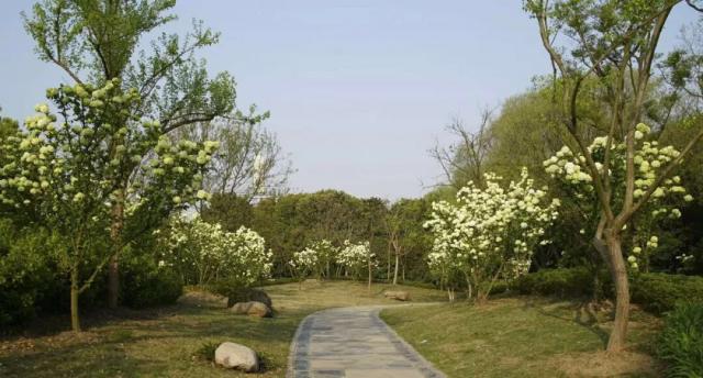 A major hotel chain announced it will implement a zero-waste policy in all its hotels reducing landfill waste by 93%