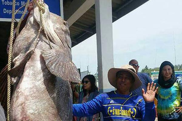 A golfer won a tournament by two strokes after a final round of exceptional play