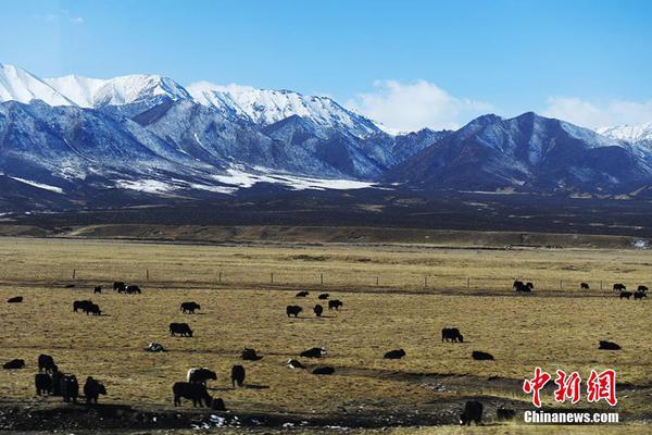A national park reported an increase in the number of visitors during the summer