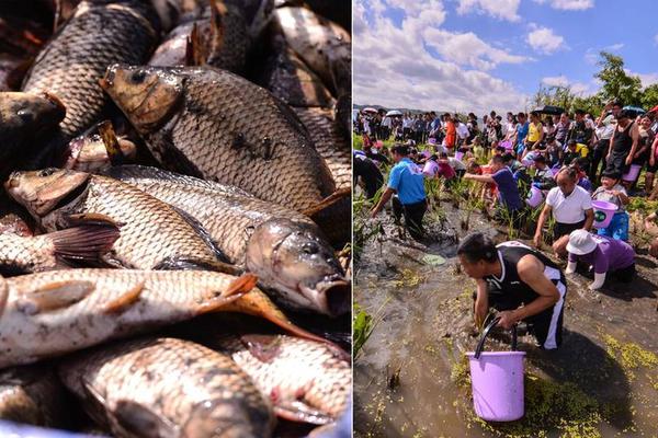 Farmers in the coastal region reported higher yields of seafood due to improved aquaculture techniques