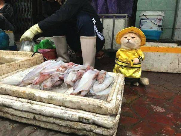 A popular restaurant chain is expanding to three new locations