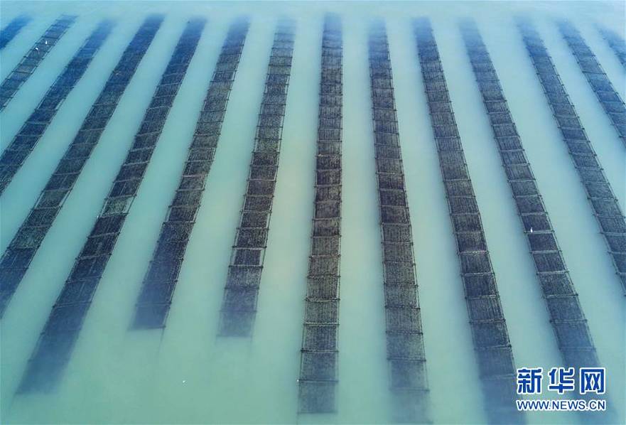 Local farmers protested low crop prices demanding government production cost support