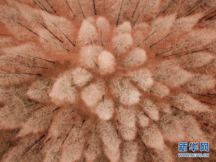 A severe drought in the western region has led to water restrictions with residents asked to limit water usage