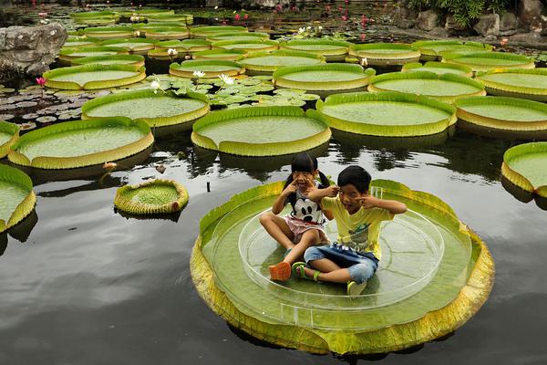 A hospital used telemedicine to provide medical care to patients in a remote village