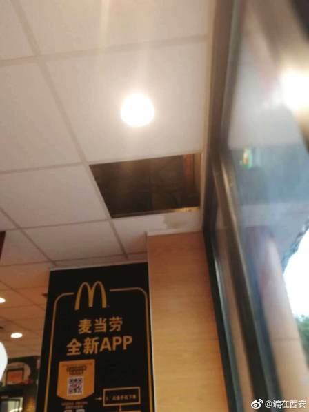 The city council voted to ban smoking in all public parks and recreational areas