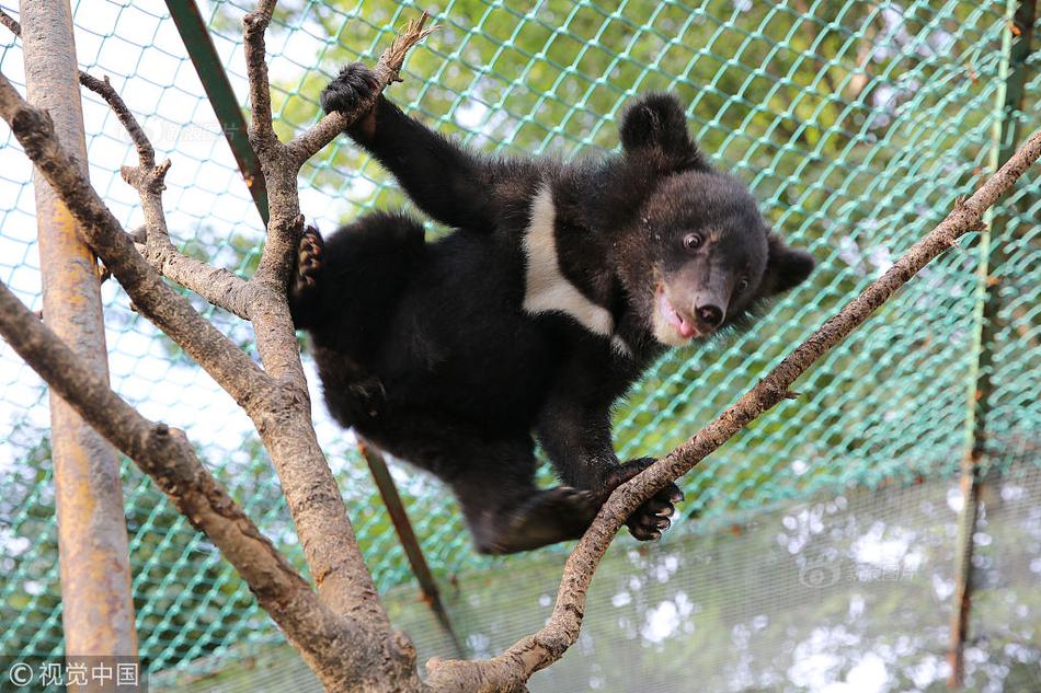 Local bakery wins national award for best artisanal bread in regional competition
