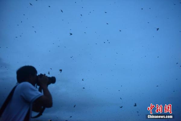 The government launched a campaign to promote tourism in coastal towns