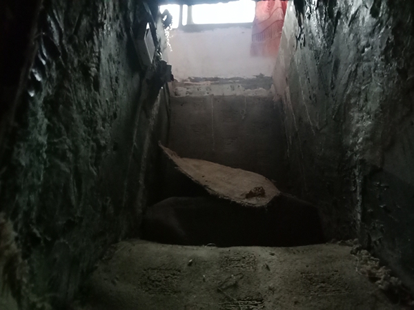 The United Nations held a conference to discuss ways to protect endangered bird species