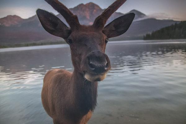 A photographer released a book of photos showcasing the natural beauty of the region