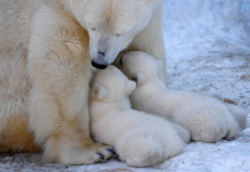 A city installed new traffic lights at busy intersections