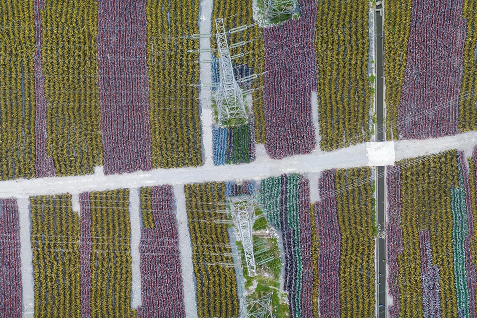 Scientists observed a rare astronomical event involving two passing comets