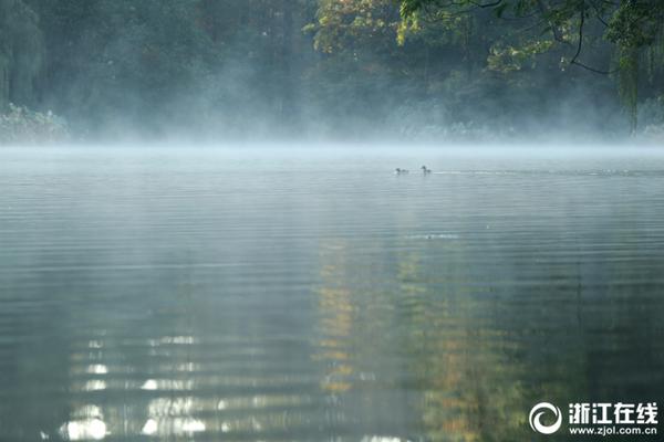 A charity organization started a program to provide free tutoring to students from underserved schools