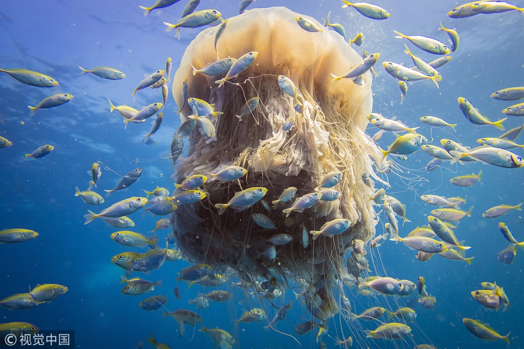 Local businesses participated in a “small business Saturday” event to boost local economy