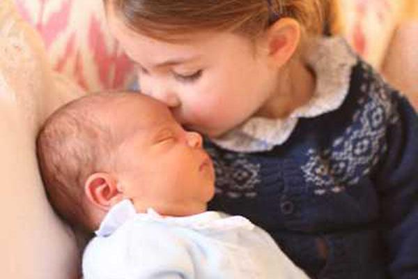 Wildlife sanctuary releases rehabilitated birds of prey into protected forest area