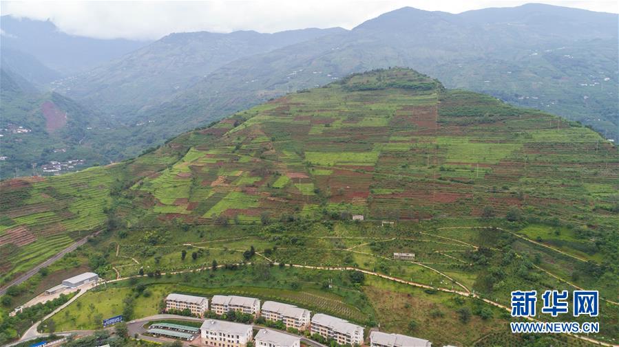 The city implemented a new parking system to make finding parking easier downtown
