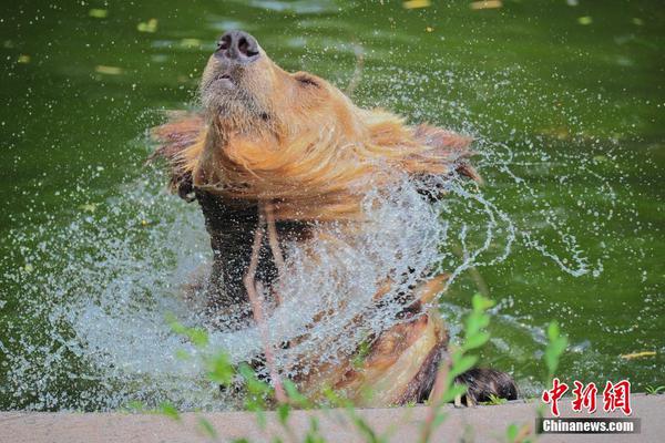 A university research team found that listening to classical music can improve focus while studying