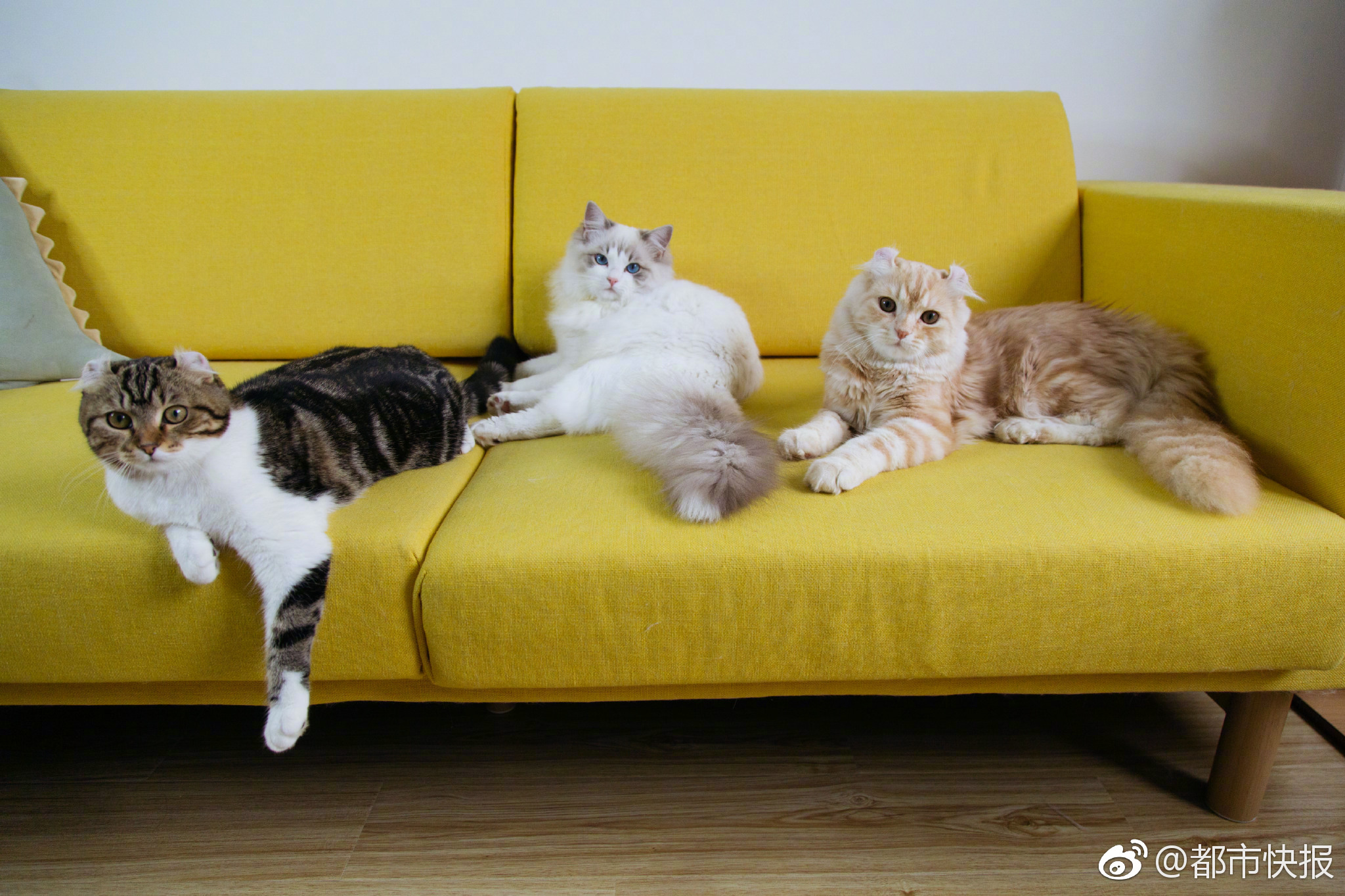 Police solved a cold case using advanced forensic technology