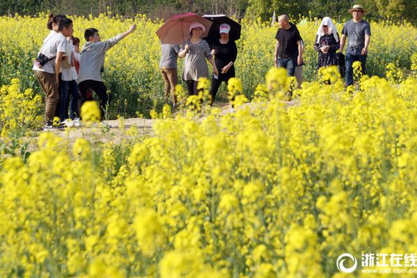 Volunteers planted over 1000 trees in a city park as part of a reforestation project
