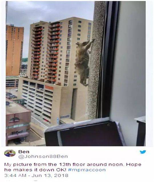 The public transit system added 25 new wheelchair-accessible buses to its fleet