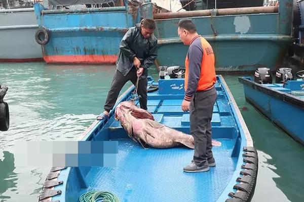 A large retail company said it will phase out single-use plastics in all its stores by the end of 2025