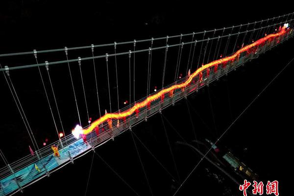 Farmers used drone technology to monitor crop health and optimize irrigation