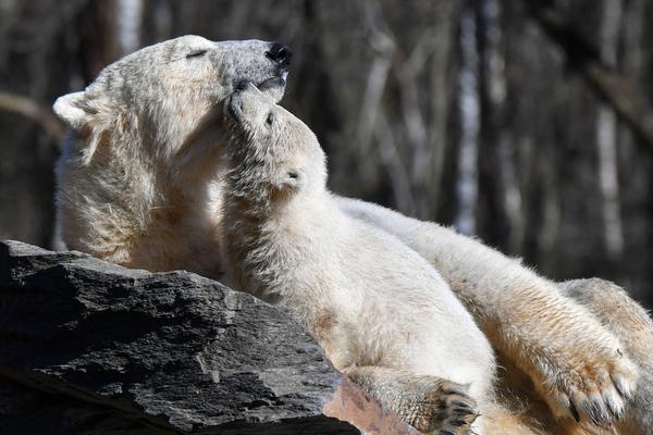 A tech company donated computers to a community center for after school tutoring programs