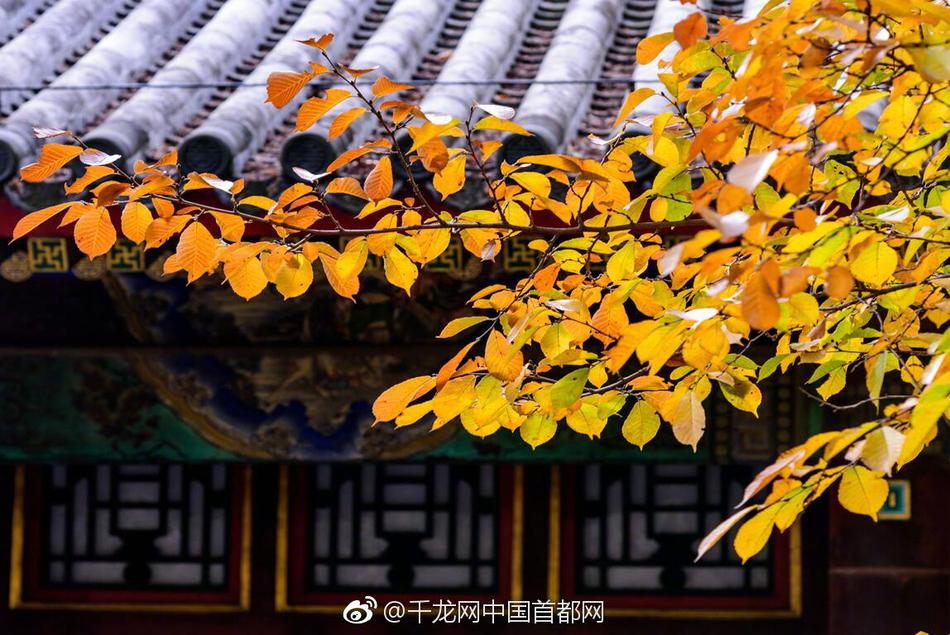 A new study revealed that practicing yoga can improve flexibility and reduce back pain