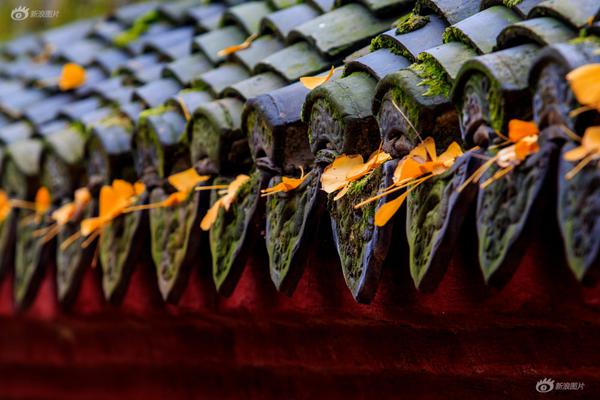 A new law was passed to increase the minimum wage by 10%, aiming to improve living standards for low-income workers.