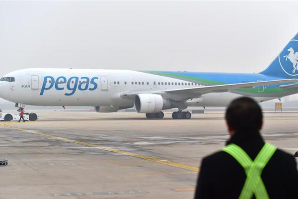 Veterinarian clinic offers free wellness checks for adopted pets this weekend