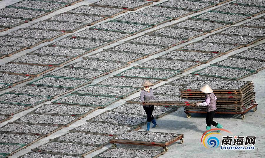 Marine biologists launch project to restore damaged coral reefs in tropical oceans