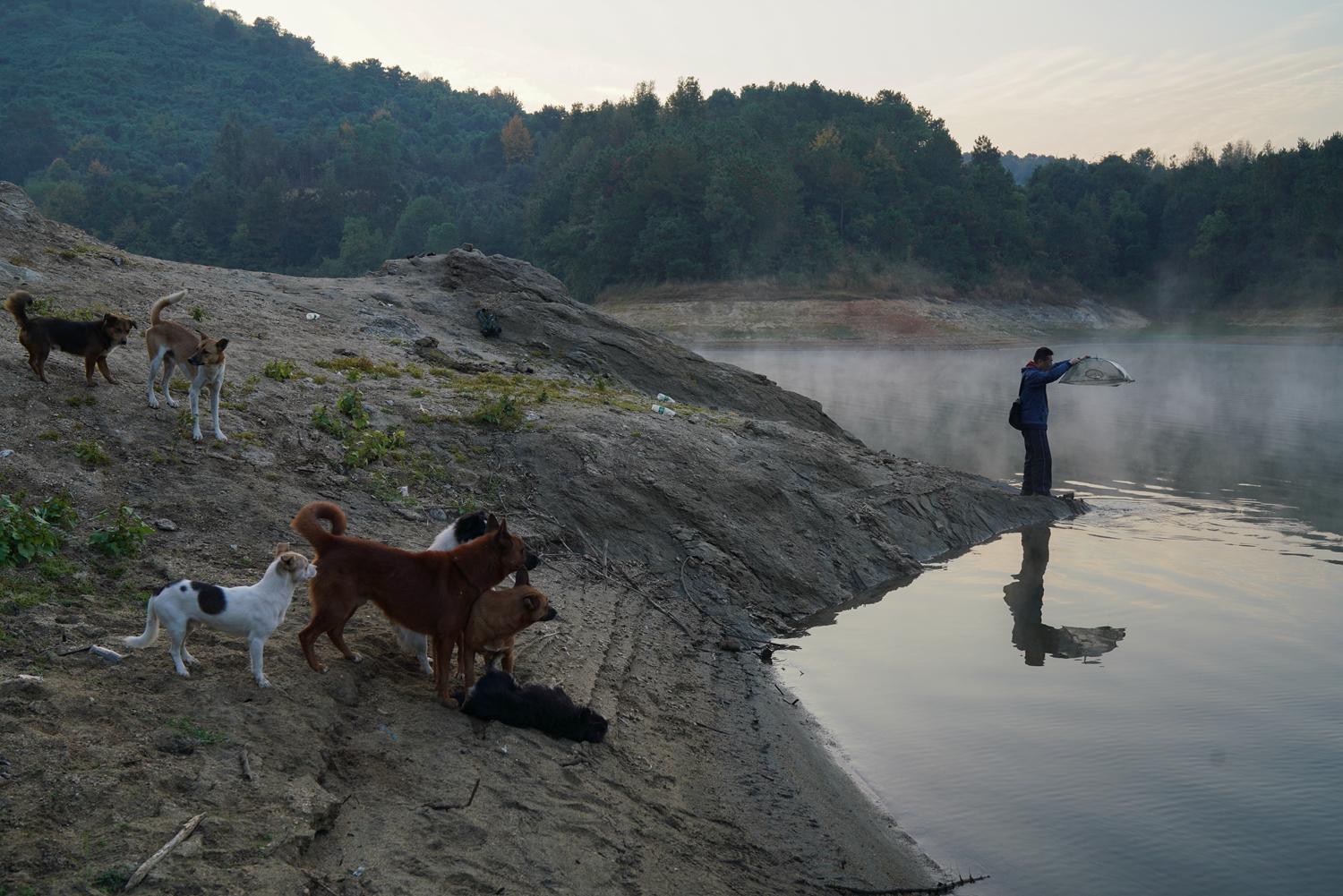 A major film festival announced its official selection including 25 international premieres